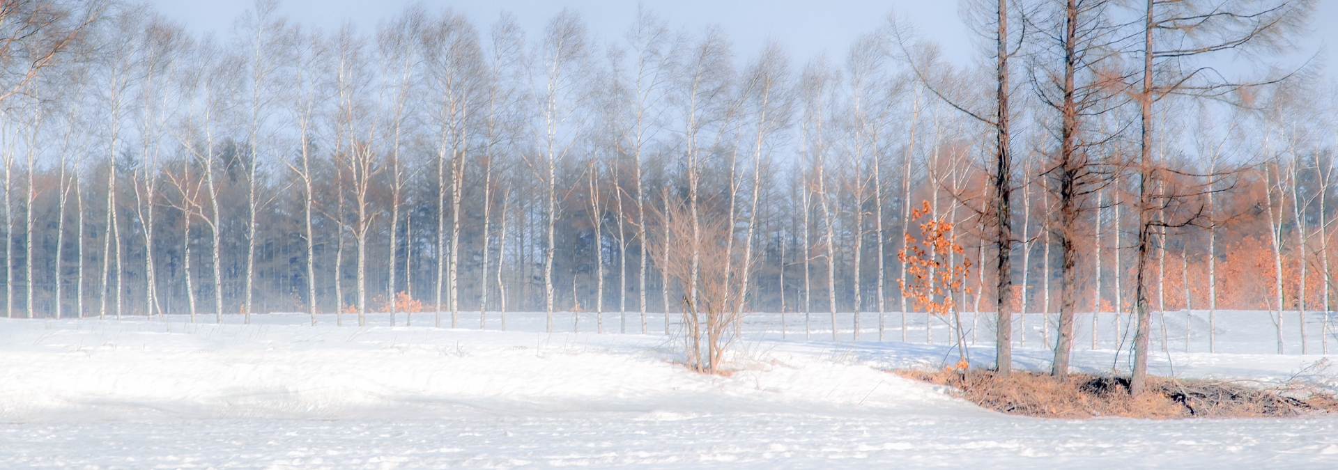 北海道計測技術
